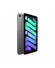iPad mini Wi-Fi + Cellular 128GB - Grigio Siderale