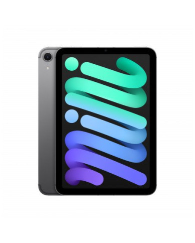 iPad mini Wi-Fi + Cellular 128GB - Grigio Siderale