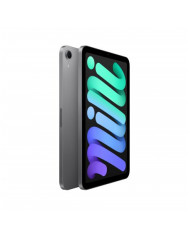 iPad mini Wi-Fi 256GB - Grigio Siderale