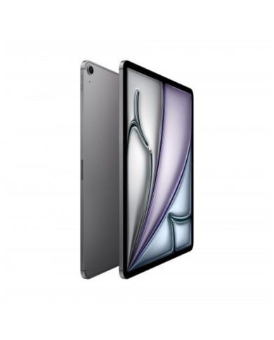 13-inch iPad Air Wi-Fi + Cellular 1TB (M4)  - Grigio Siderale