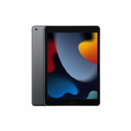 10.2-inch iPad Wi-Fi 256GB - Space Grey - MK2N3TY/A