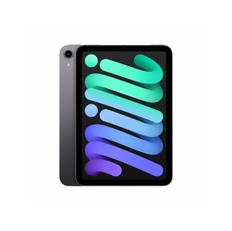 iPad mini Wi-Fi 256GB - Space Grey - MK7T3TY/A